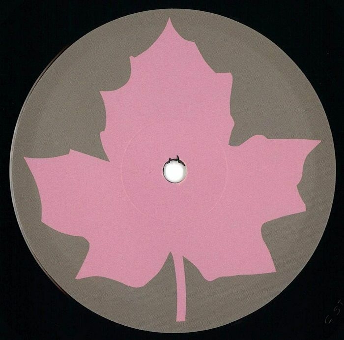 ( CST 010 )  G76 - Bombs Over Leamington Spa (12") Castanea