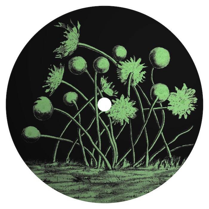 ( DEBT 004 ) NATIVO - Guyss EP ( 12" ) Incoherent Debts