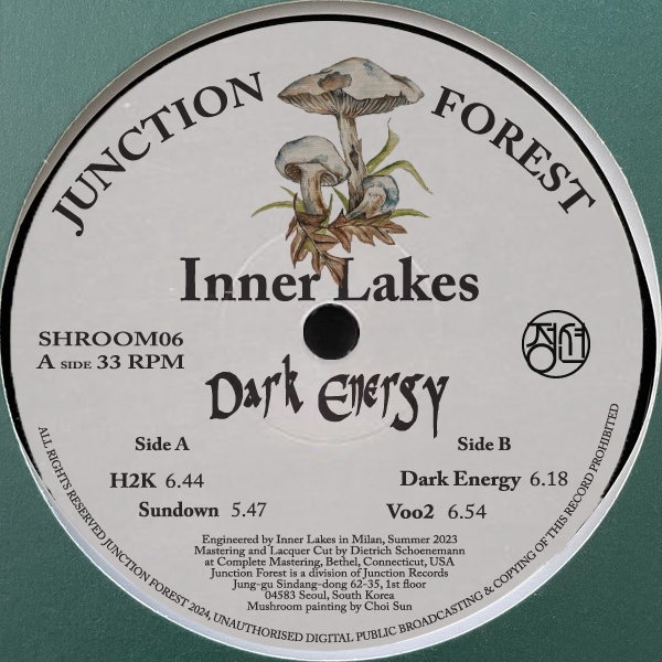 ( SHROOM 06 ) INNER LAKES - Dark Energy-one x buyer 12" ) Junction Forest