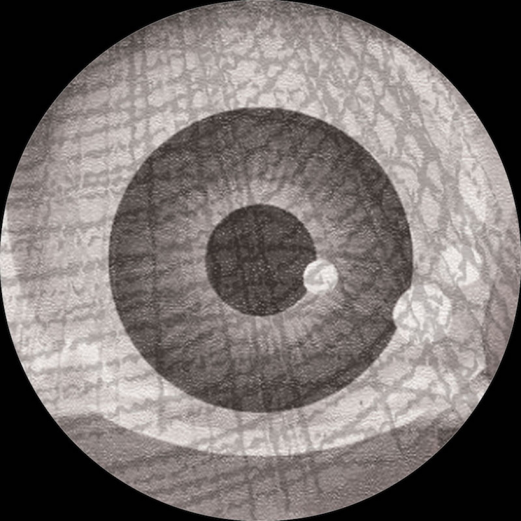 ( RESCAN 01 ) VIEWFINDER - The Second Phase ( 12" ) Rescan Records