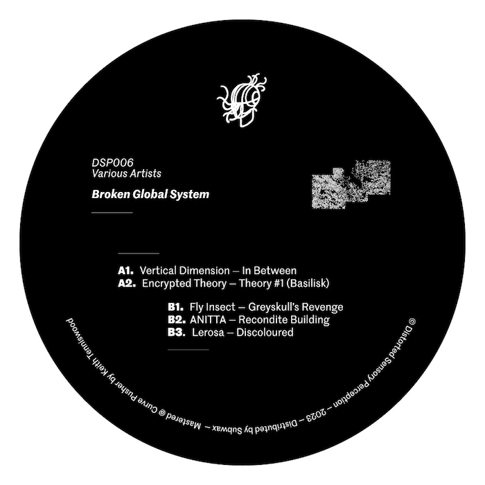 ( DSP 006 ) VARIOUS ARTISTS - Broken Global System ( 12" ) Distorted Sensory Perception