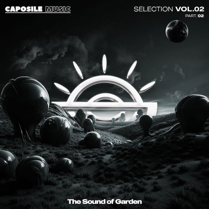 ( CPSLS 002PART2 ) VARIOUS ARTISTS - The Sound Of Garden Vol.2 Part 2 ( 12" ) Caposile Music