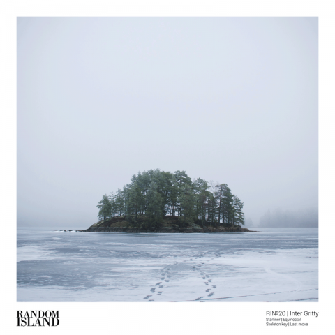 ( RIN° 20 ) INTER GRITTY - Rino20 ( 12" ) Random Island