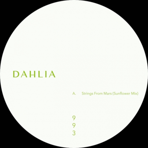 ( DAHLIA 993 ) S.A.M. - DAHLIA 993 ( 12" ) Dahlia