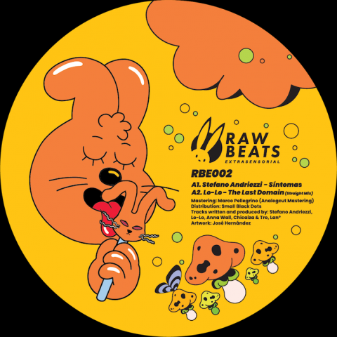 ( RBE 002 ) VARIOUS ARTISTS - Rawbeats Records 002 ( 12" ) Rawbeats Records